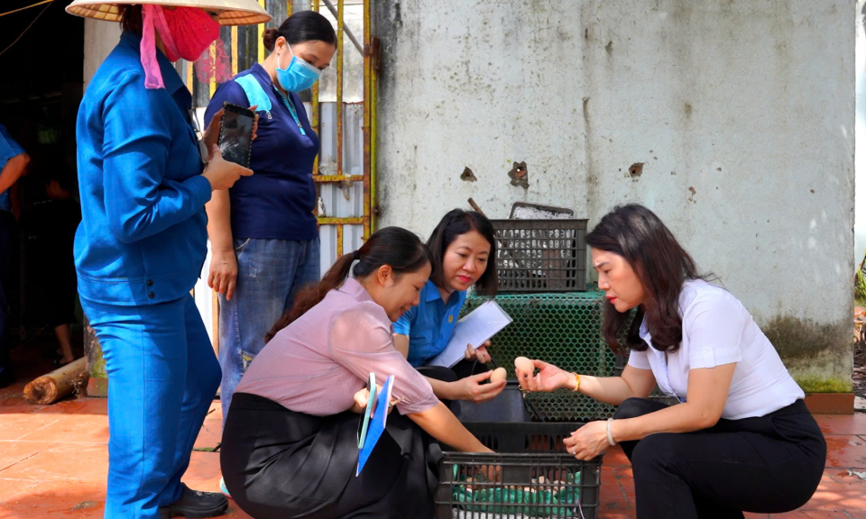 Hỗ trợ nữ CNLĐ khó khăn phát triển kinh tế gia đình   