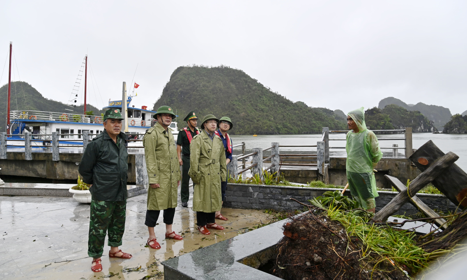 Phó Bí thư Tỉnh ủy Đặng Xuân Phương kiểm tra công tác khắc phục hậu quả bão số 3 trên Vịnh Hạ Long và TP Móng Cái