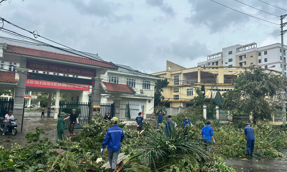 Hơn 5.000 đoàn viên thanh niên TKV tham gia khắc phục hậu quả sau bão