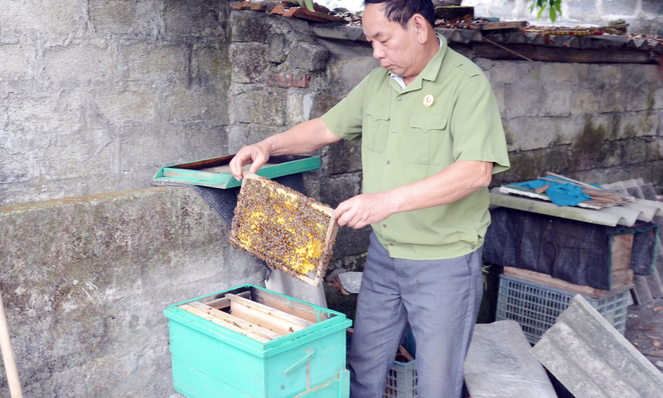 Hiệu quả phong trào thi đua “Cựu chiến binh gương mẫu” tại TP Hạ Long