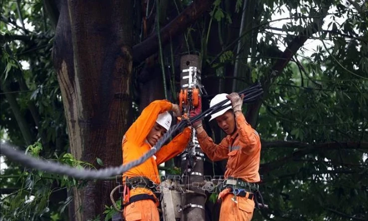 Electricity supply resumed to over 4.8 million customers affected by typhoon 