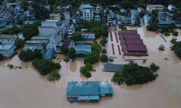 Người dân vùng bão lũ không sử dụng gia súc, gia cầm chết chế biến thực phẩm