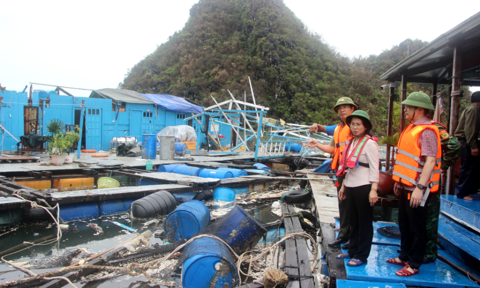 Bản tin Quảng Ninh ngày 11/9/2024