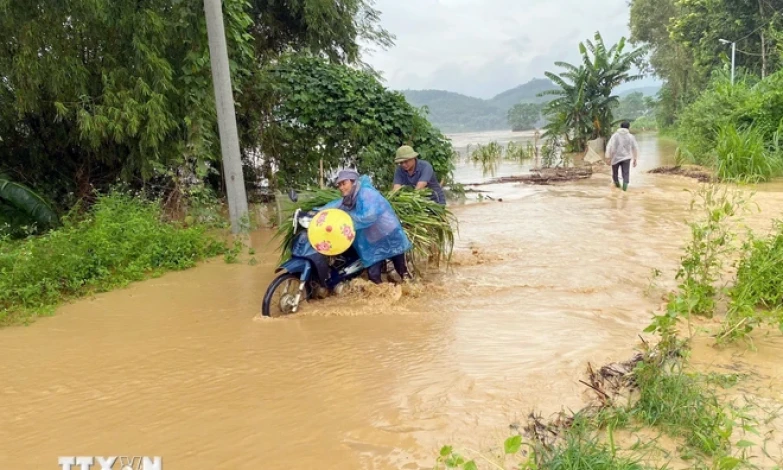 Bộ Y tế: Ứng phó kịp thời dịch bệnh, vệ sinh môi trường trong và sau mưa lũ