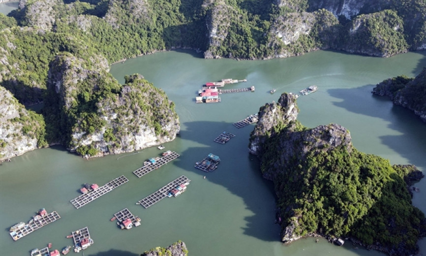 Hạ Long Bay – Cát Bà Archipelago honoured among global geological heritage for second time