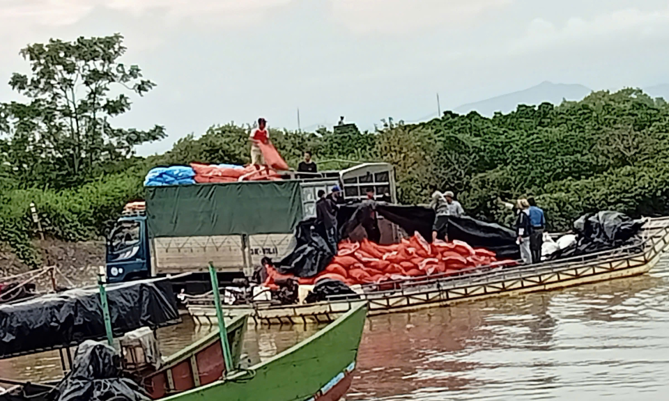 Móng Cái: Bắt giữ, xử lý 385 vụ buôn lậu, vận chuyển trái phép hàng hóa