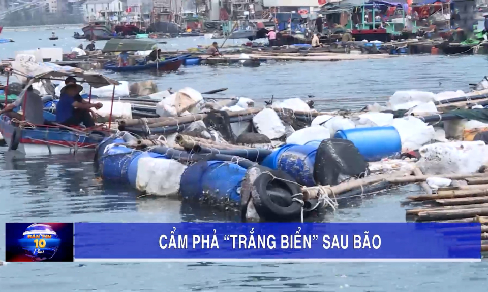 Cẩm Phả "trắng biển" sau bão