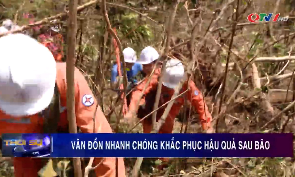 Vân Đồn nhanh chóng khắc phục hậu quả sau bão