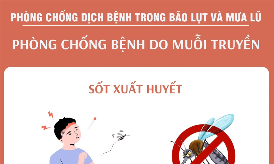 Phòng chống bệnh do muỗi truyền sau mưa bão