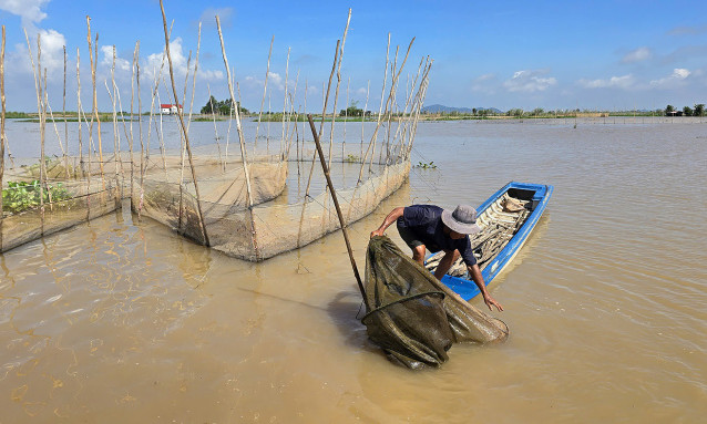 Bão Yagi khiến nước sông Mekong dâng cao, miền Tây nguy cơ ngập