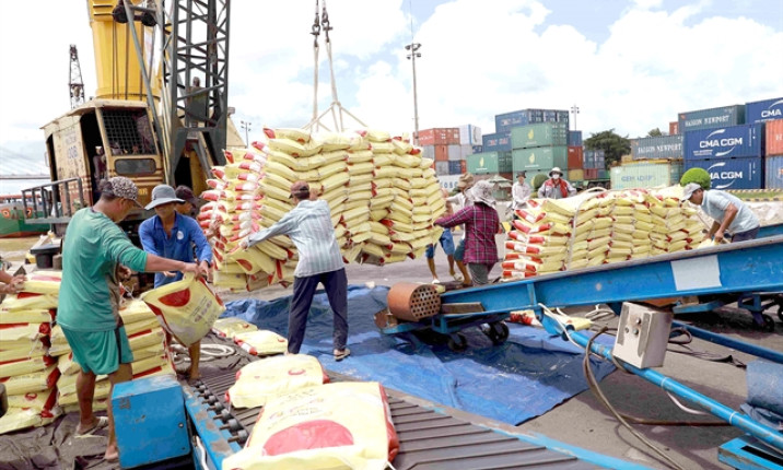 Việt Nam likely earn $5b from rice exports this year