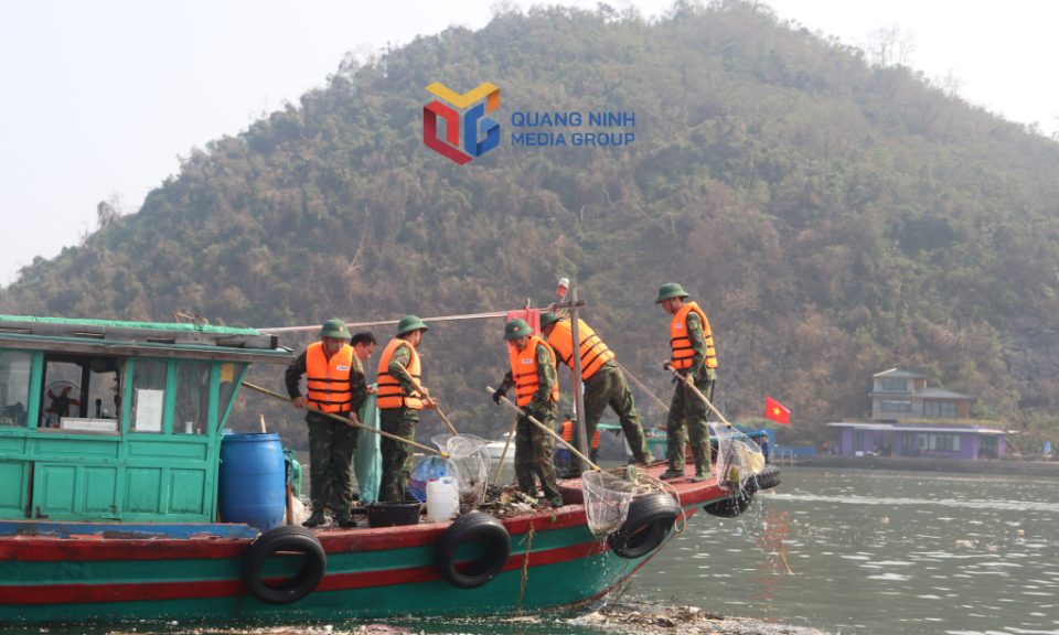 "Three days to clean Ha Long Bay" campaign launched