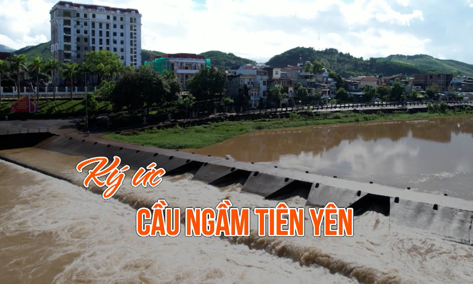 Ký ức Cầu ngầm Tiên Yên