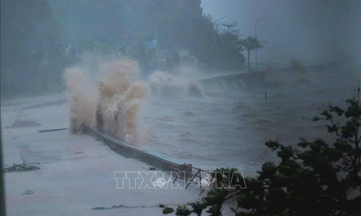 Các tỉnh, thành phố từ Quảng Ninh đến Bình Thuận theo dõi chặt diễn biến áp thấp nhiệt đới