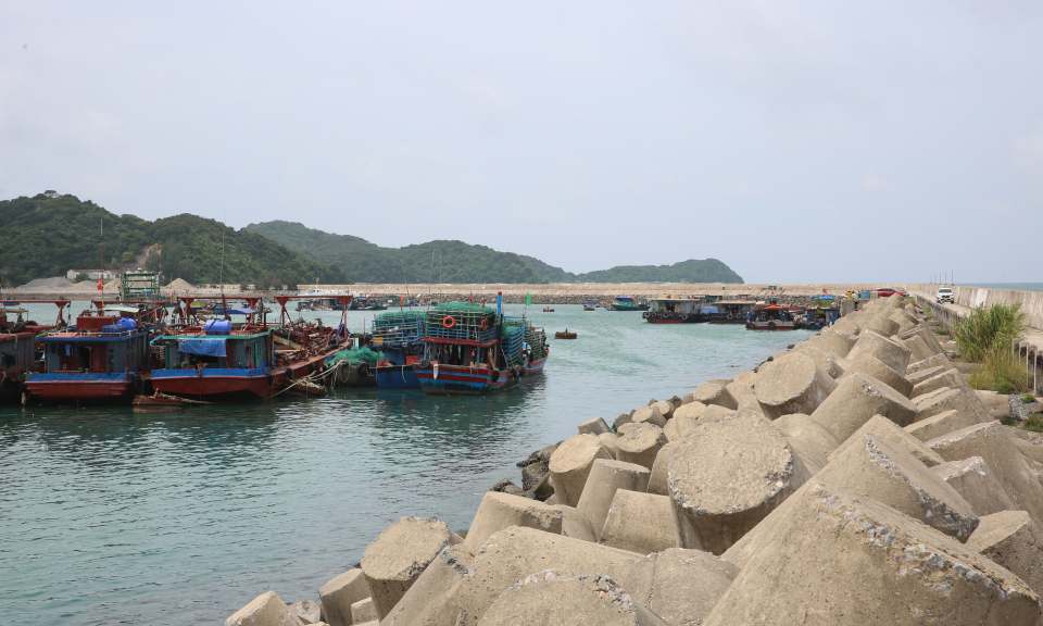 Sớm hoàn thiện Khu neo đậu tránh trú bão cho tàu cá đảo Cô Tô