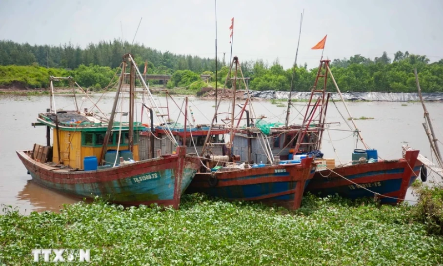 Thủ tướng: Chủ động ứng phó với áp thấp nhiệt đới có khả năng mạnh lên thành bão