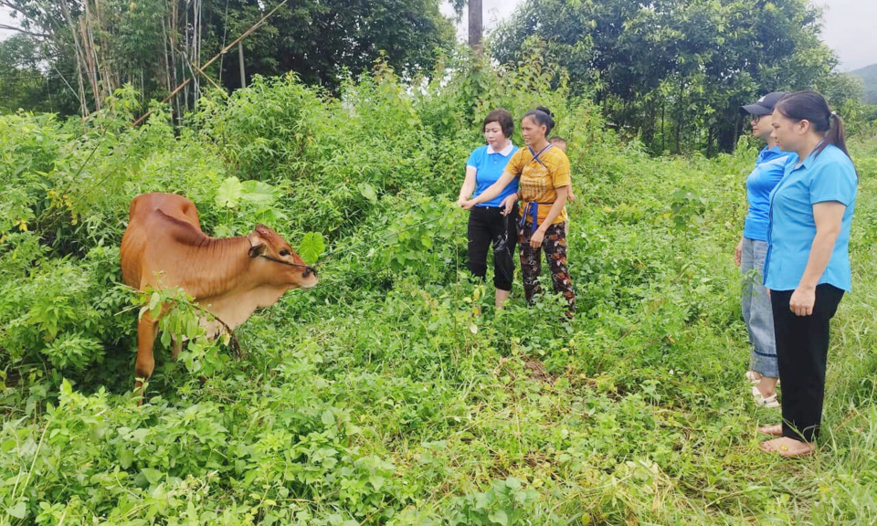 Hỗ trợ sinh kế, tăng thu nhập cho phụ nữ và hộ gia đình