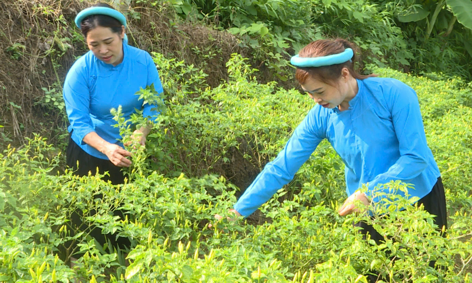 Tiên Yên xây dựng nông thôn mới từ việc làm cụ thể