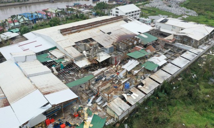 Tax sector provides solutions to support victims of Typhoon Yagi