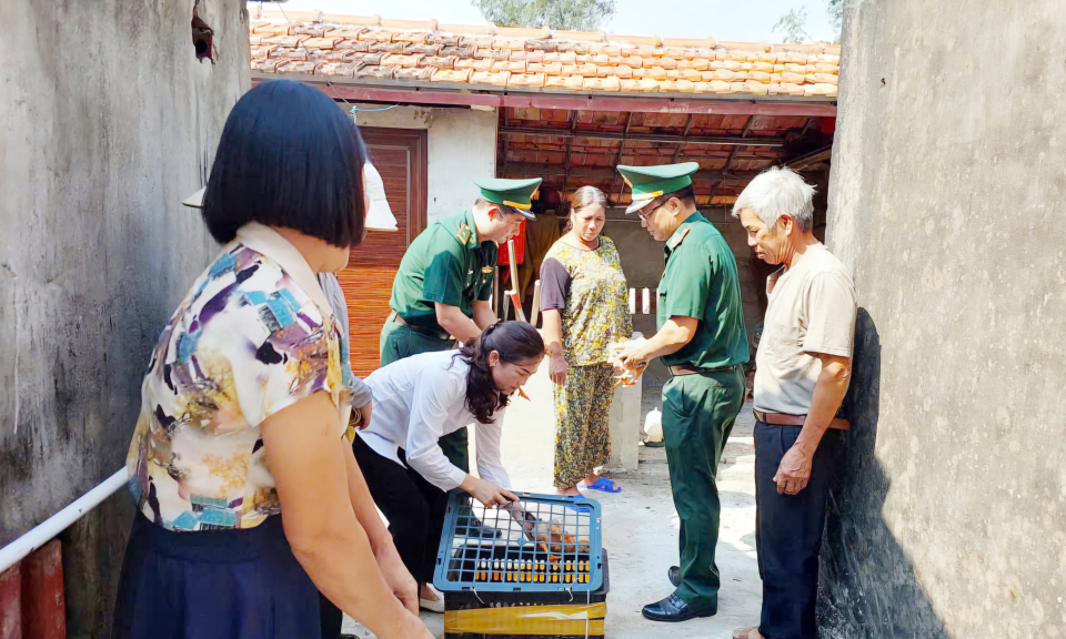 Trao tặng gà giống cho hội viên phụ nữ có hoàn cảnh khó khăn nơi biên giới, biển đảo