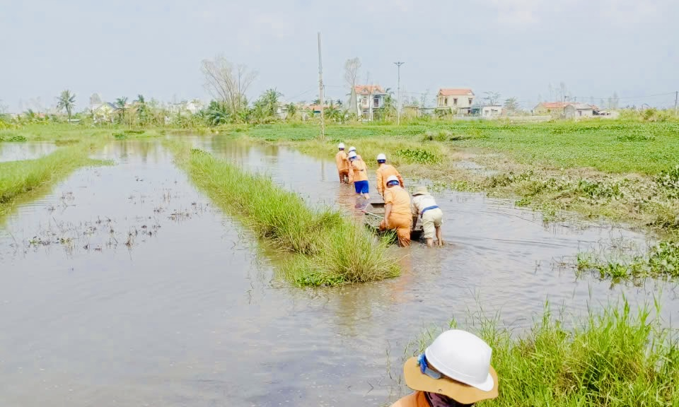 Gần 97% khách hàng đã có điện trở lại