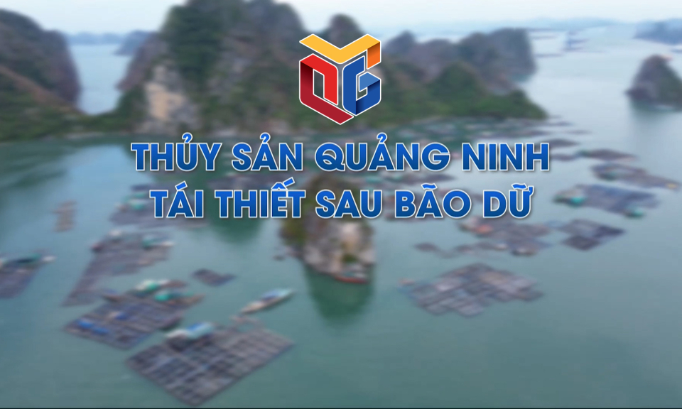 Thủy sản Quảng Ninh tái thiết sau bão dữ