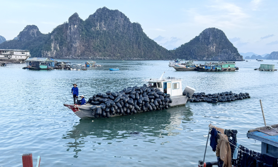 Bản tin vùng Đông Bắc ngày 24/9/2024