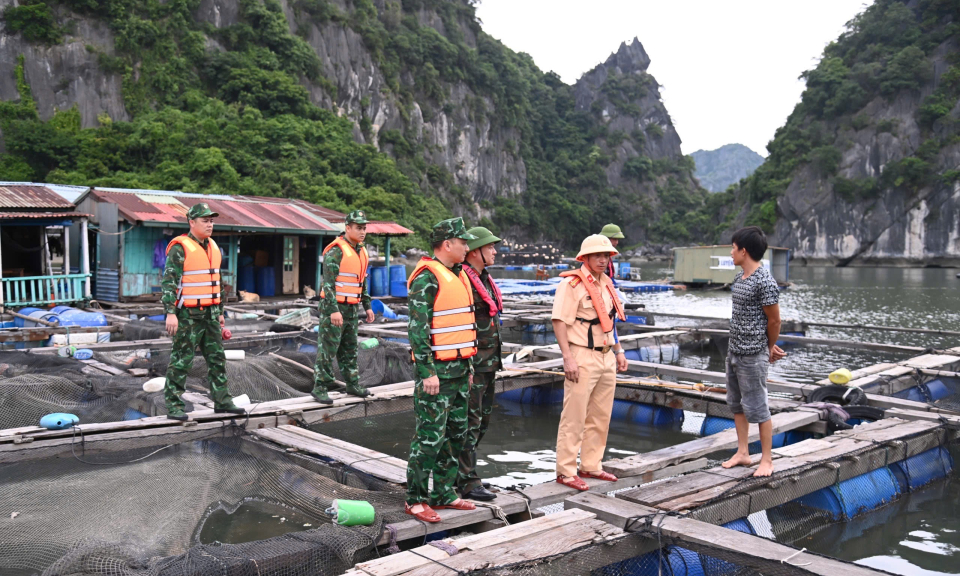 Trung tá quân đội yêu màu xanh cây lá