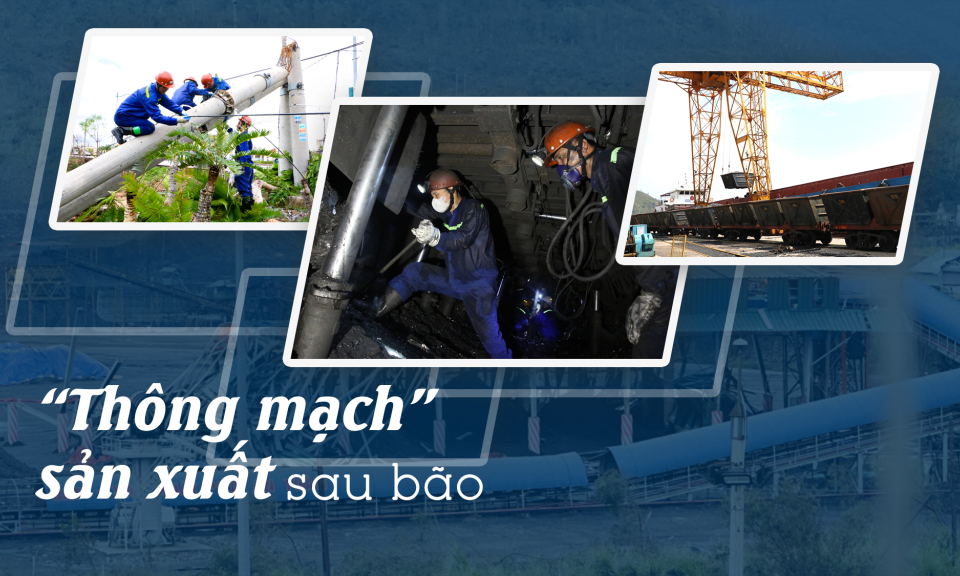 “Thông mạch” sản xuất than sau bão