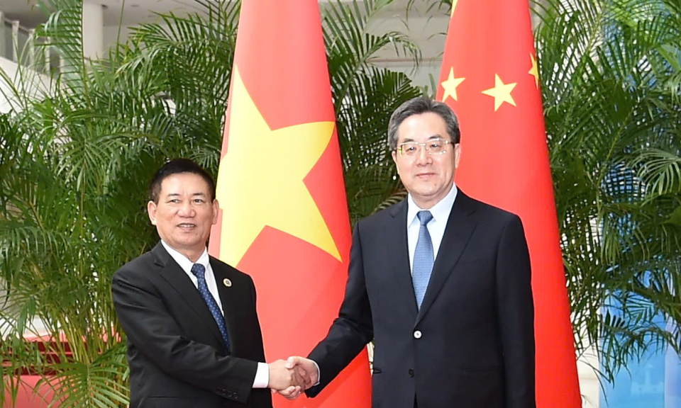 Phó Thủ tướng Hồ Đức Phớc hội đàm với Phó Thủ tướng Trung Quốc Đinh Tiết Tường