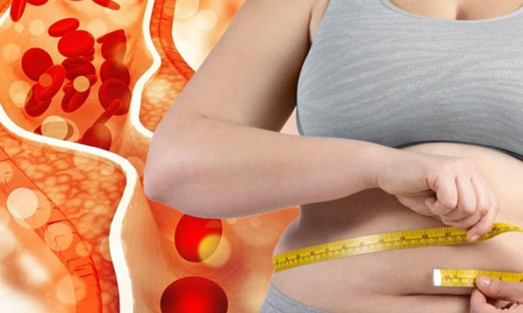 Cholesterol ảnh hưởng đến việc quản lý cân nặng như thế nào?