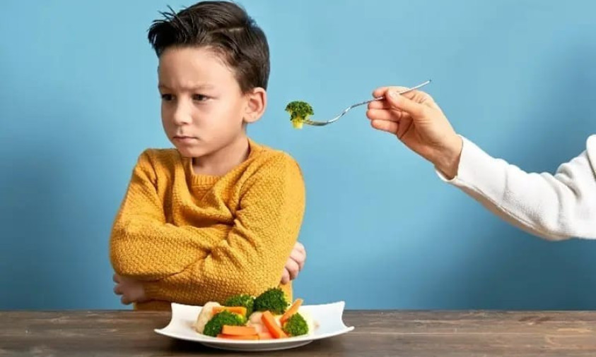 Nguyên nhân chính dẫn tới kén ăn ở trẻ