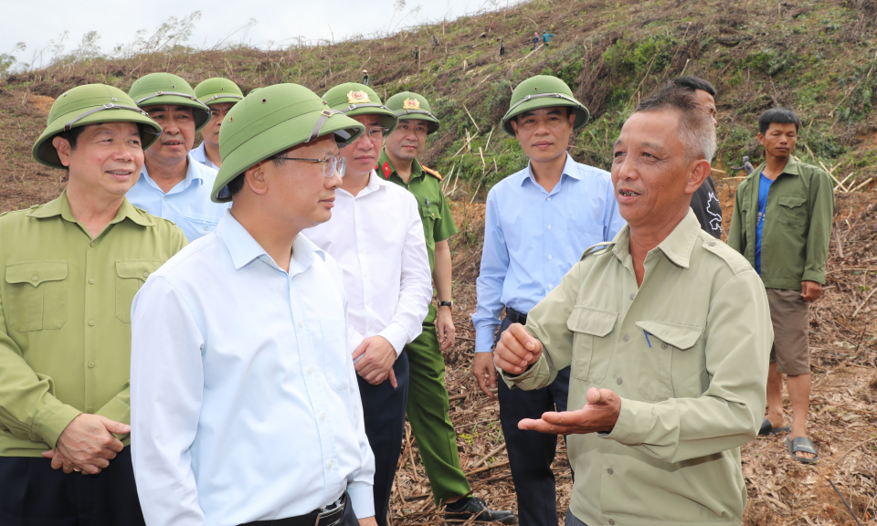 Ba Chẽ cần cơ cấu lại loại cây lâm nghiệp hợp lý