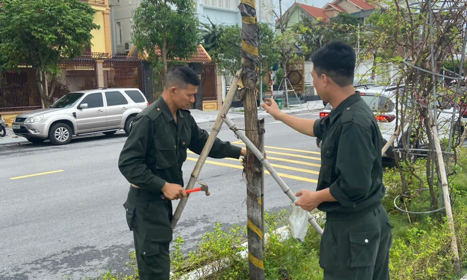 Bản tin vùng Đông Bắc ngày 26/9/2024