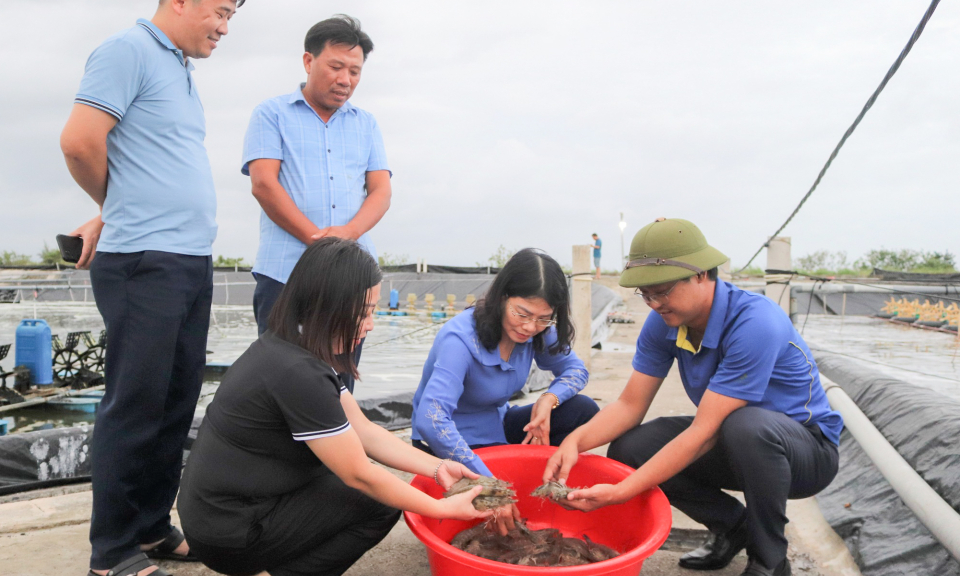 Huyện Đầm Hà: Linh hoạt thích ứng, giữ đà tăng trưởng