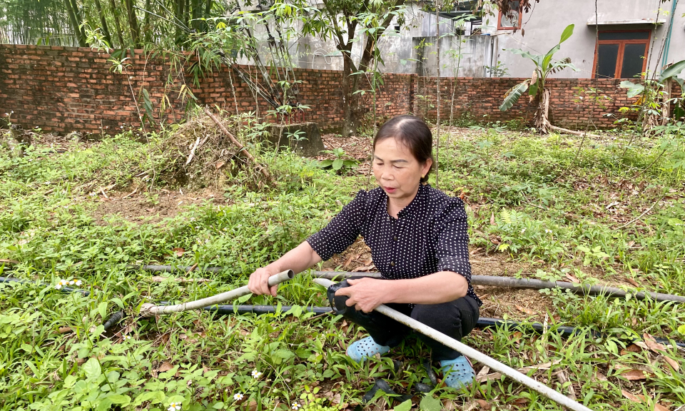 Hạ Long: Nâng tỷ lệ hộ dân ở vùng cao được sử dụng nước sạch