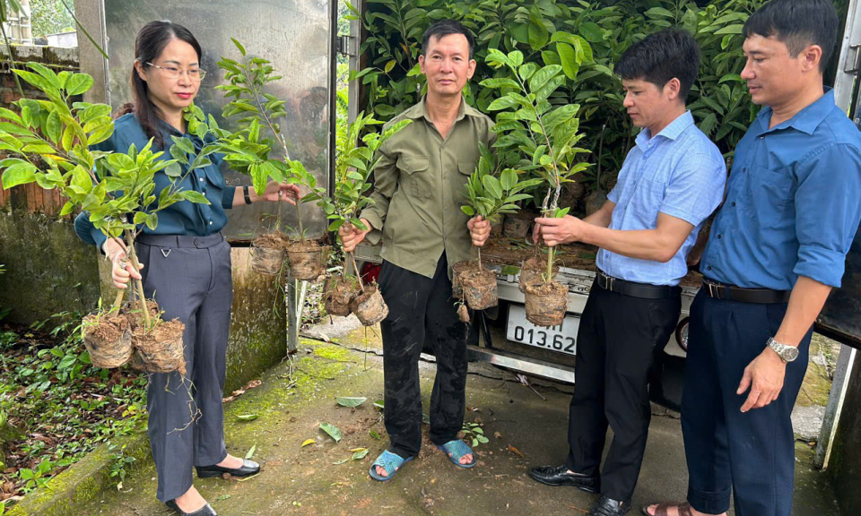 Bí thư chi bộ, trưởng thôn người Sán Chỉ "nói đi đôi với làm"