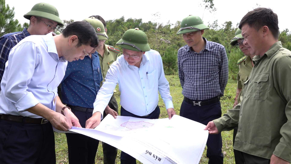 Lãnh đạo TP Cẩm Phả kiểm tra thực tế tại phường Mông Dương, đánh giá thiệt hại do cơn bão số 3 gây ra về lâm nghiệp. Ảnh: Vũ Hiền (Trung tâm TT-VH Cẩm Phả)