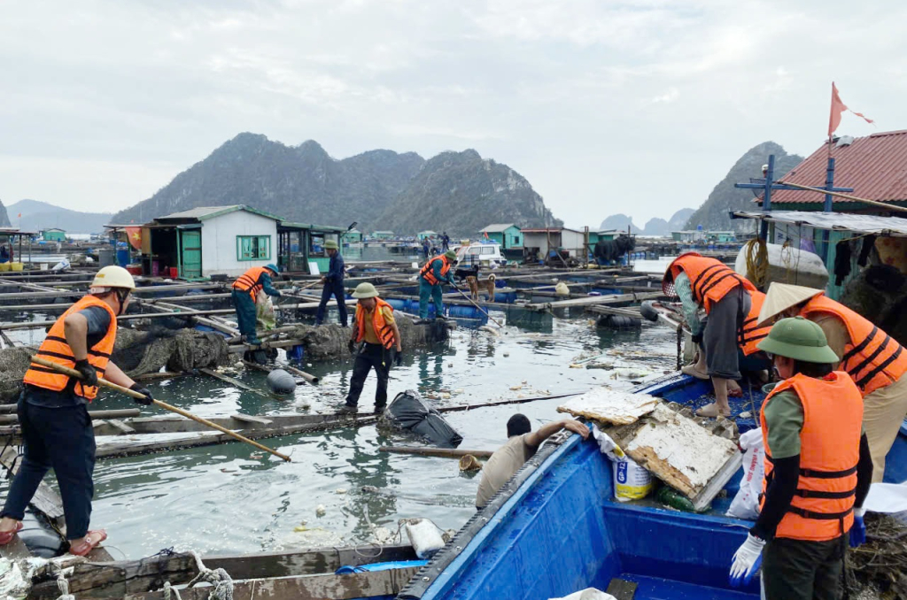 Các lực lượng chức năng và nhân dân phường Cẩm Đông tham gia dọn rác tại khu vực đảo Ông Cụ sau bão số 3.