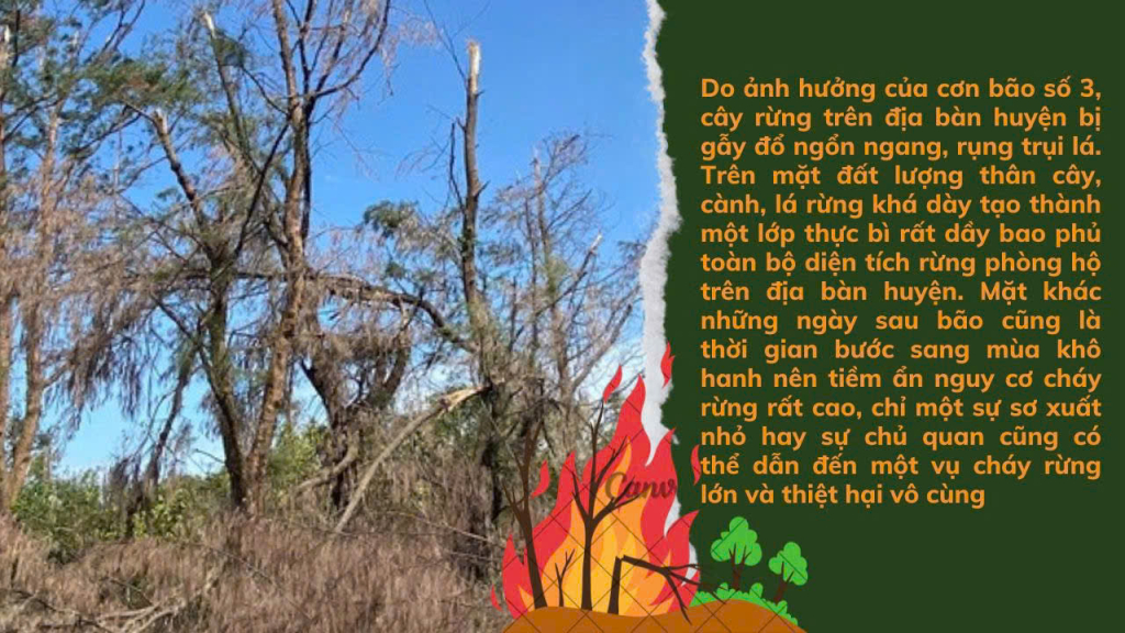 Công an huyện Cô Tô cảnh báo về các nguy cơ cháy rừng trên địa bàn huyện, sau bão số 3.