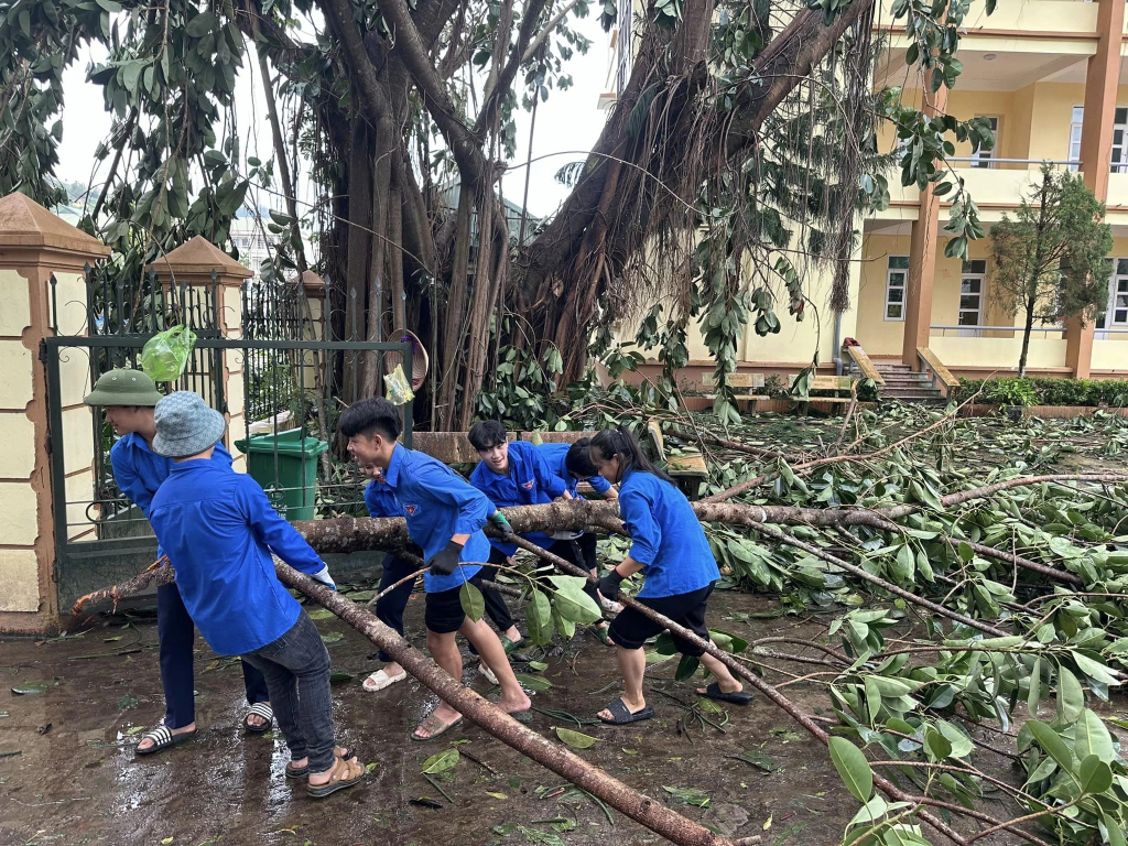 Những người trẻ Quảng Ninh ngày đêm góp sức vì cộng đồn