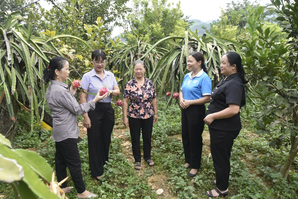 Chị Phạm Thị The và Chủ tịch Hội LHPN huyện Ba Chẽ nắm tình hình triển khai mô hình sản xuất nông nghiệp của hội viên.