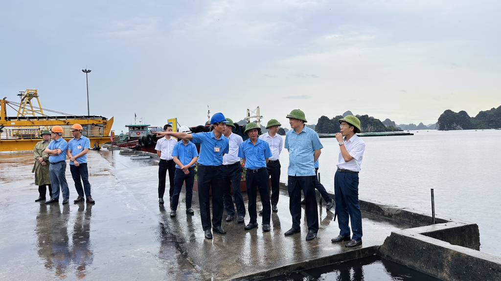 Lãnh đạo TKV kiểm tra công tác giao nhận than tại Công ty Kho vận & Cảng Cẩm Phả - TKV. Ảnh: Hoàng Yến