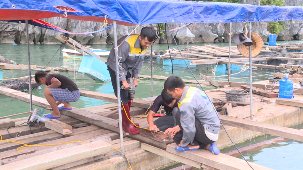 Anh Phạm Văn Thân, nuôi thủy sản ở khu vực Hòn Béo Cò, Thị trấn Cái Rồng là 1 trong 5 hộ đầu tiên được huyện Vân Đồn được giao khu vực biển đầu tiên.