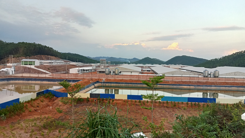 Dự án Trang trại chăn nuôi lợn công nghệ cao 