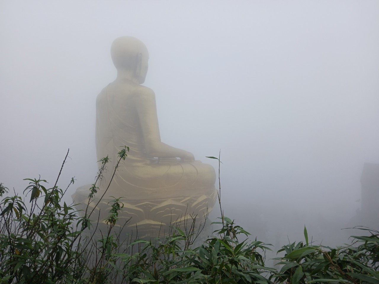 Buddha Statue Yen tu