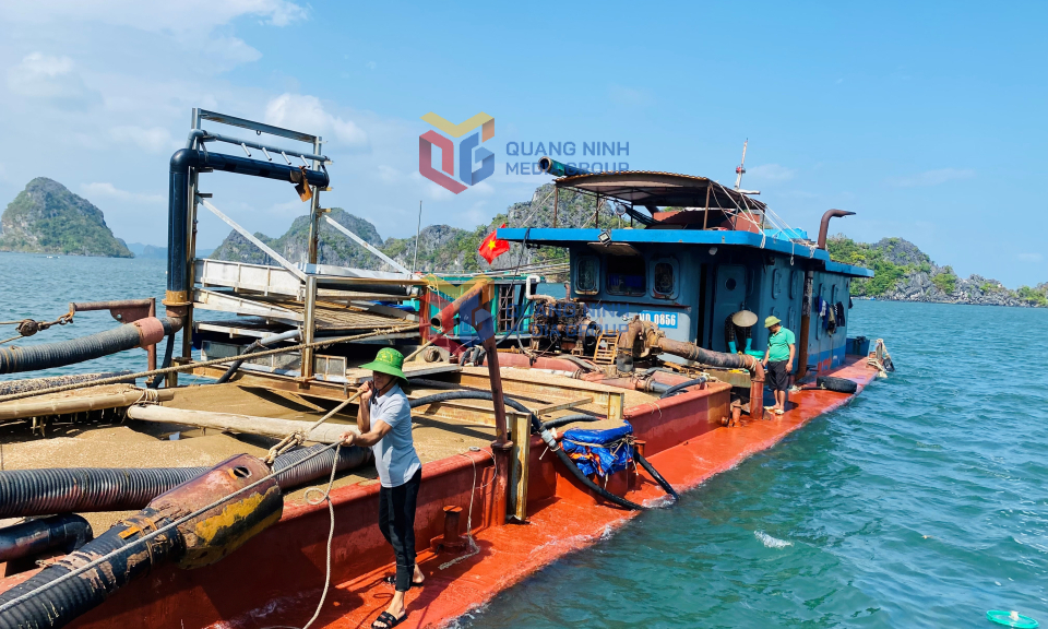 Công ty TNHH Quan Minh, đơn vị thực hiện phương án thu gom, vận chuyển, cung cấp cát xốp làm nguyên liệu phục vụ nuôi trồng thủy sản cấp cho các hộ ngư dân.