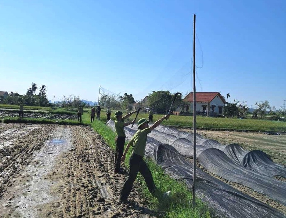 Hạt Kiểm lâm TP Hạ Long phối hợp cùng các đơn vị phá dỡ cọc và lưới giăng để bẫy chim di cư, hoang dã tại xã Thống Nhất, tháng 10/2024. Ảnh: Chi cục Kiểm lâm