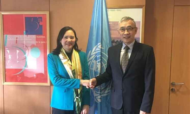 Việt Nam a prime example of effective cooperation with UNESCO: Official