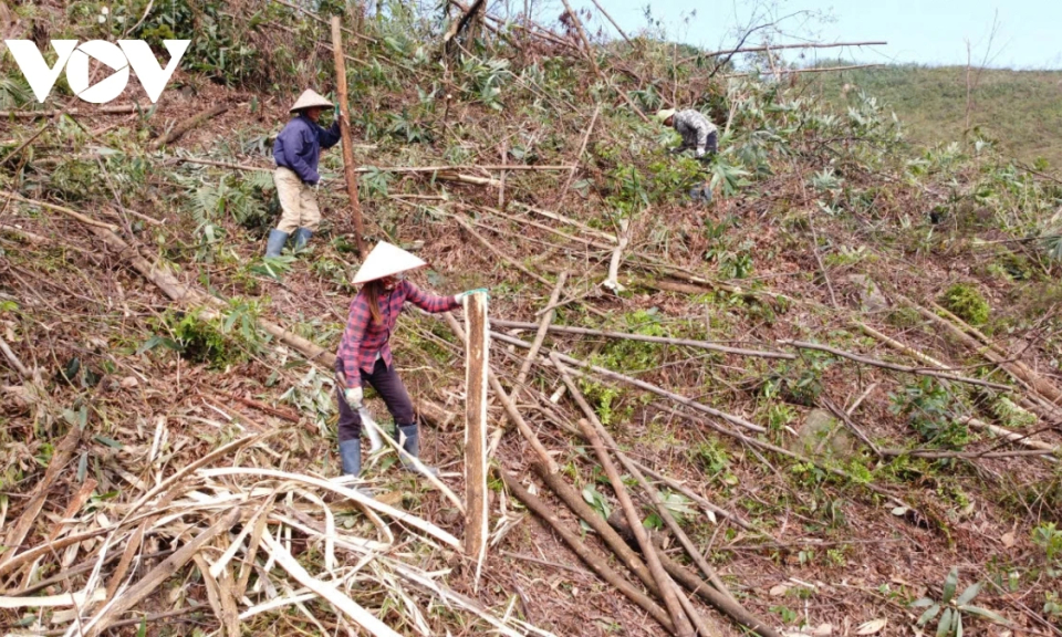 Bản tin Quảng Ninh ngày 4/10/2024